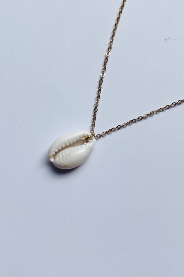 seashell necklace | stainless steel