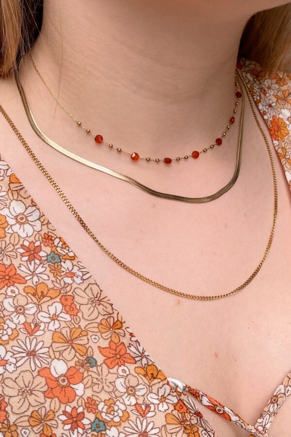 Cornaline necklace | stainless steel