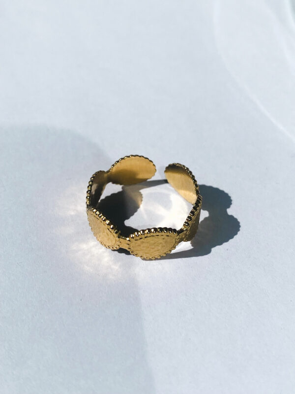 Flat rounds ring | stainless steel