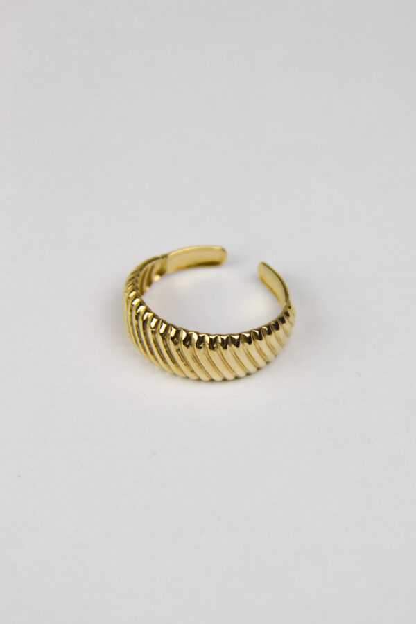 Graphed stripes ring | stainless steel
