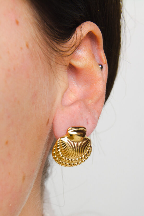 Shell stud | stainless steel