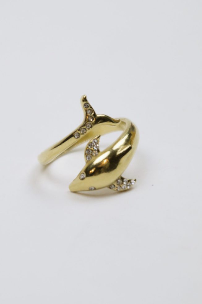 Dolphin ring | stainless steel