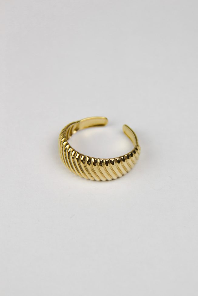 Graphed stripes ring | stainless steel