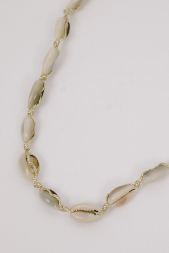 Golden shell necklace | stainless steel